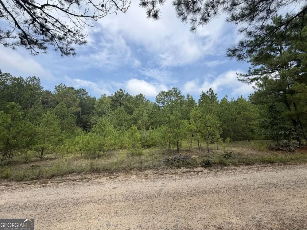0 Smith Mill RD Monticello, GA 31064