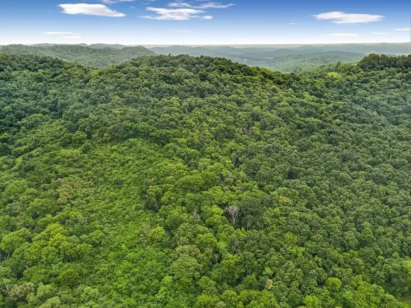 0 Hix Road Gordonsville, TN 38563