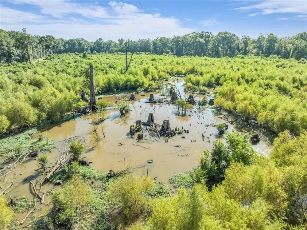 0 Brook Rd Jesup, GA 31545