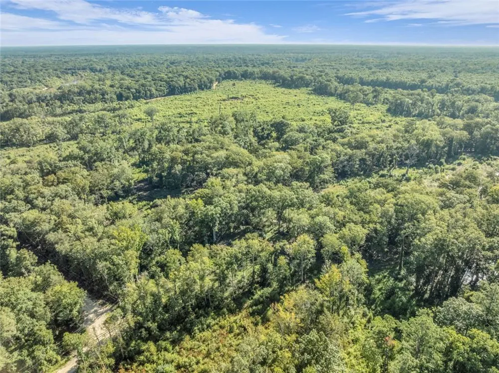 0 Brook Rd Jesup, GA 31545