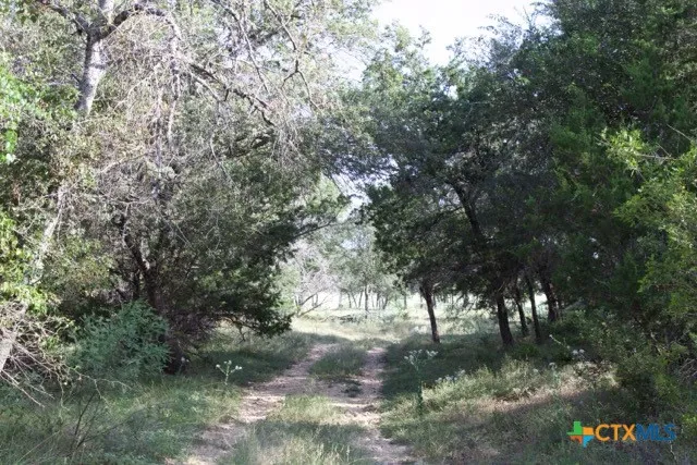810 FM 470 Bandera, TX 78003
