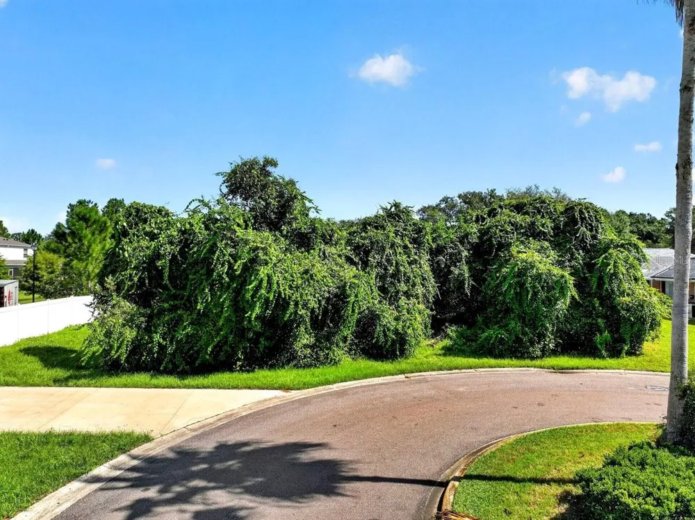 2 DEERSKIN LANE Ormond Beach, FL 32174