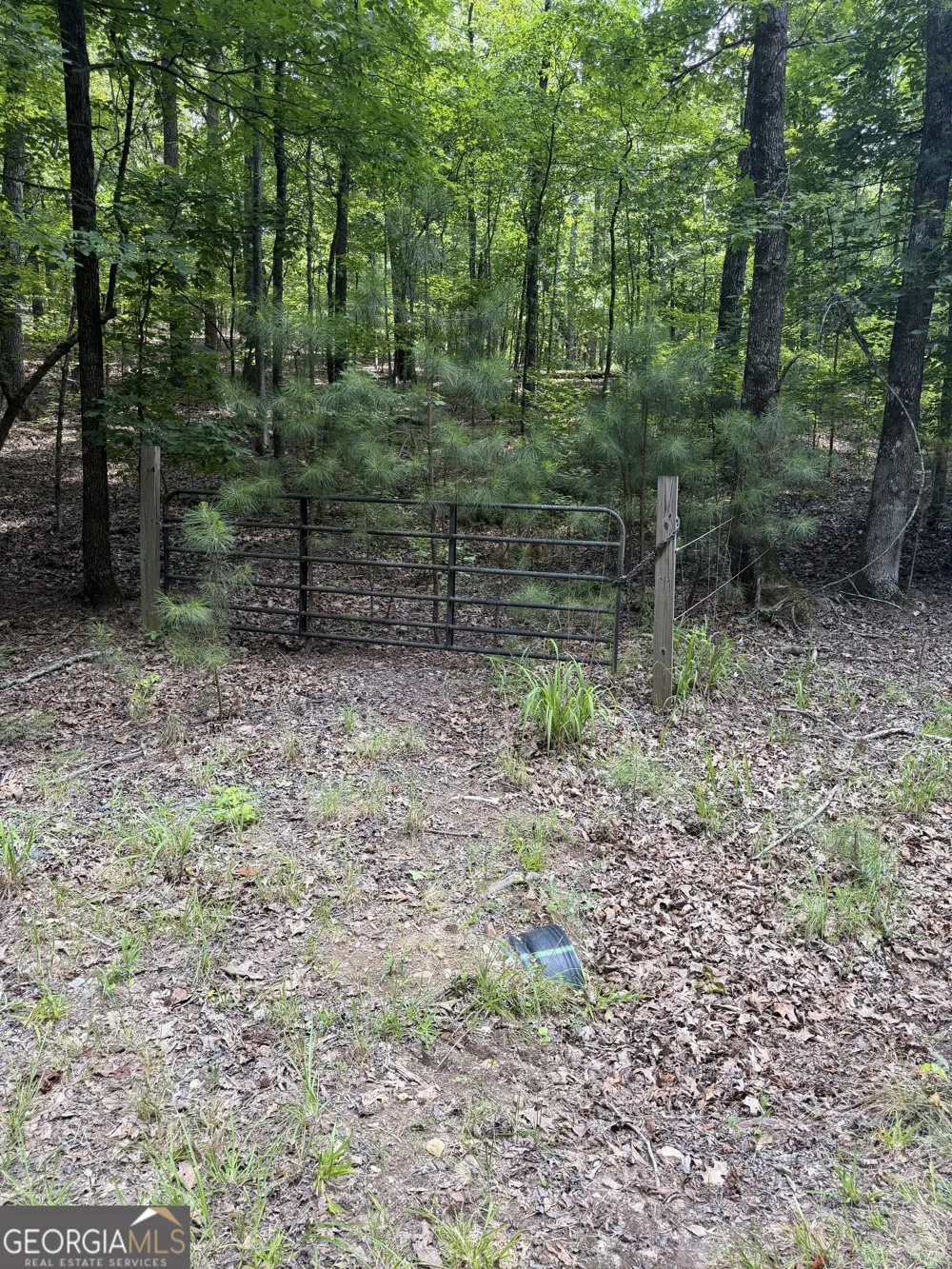 0 Pleasant Valley RD Thomaston, GA 30286