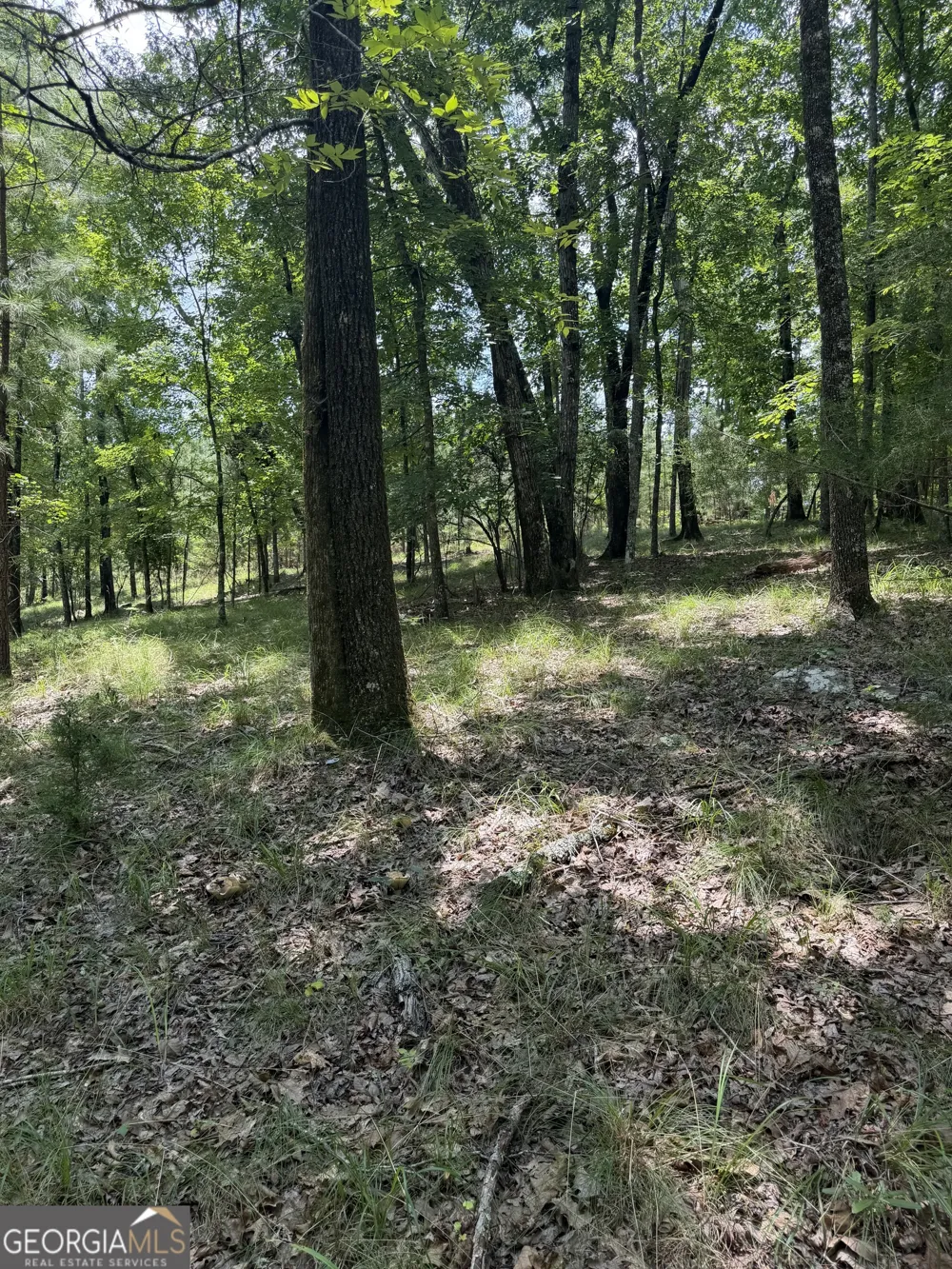 0 Pleasant Valley RD Thomaston, GA 30286