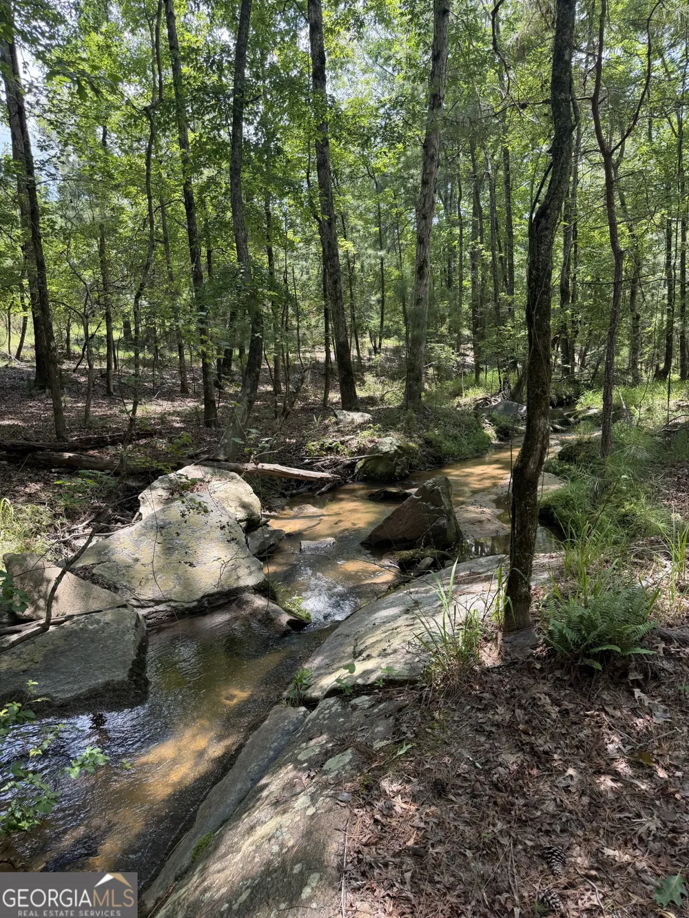 0 Pleasant Valley RD Thomaston, GA 30286