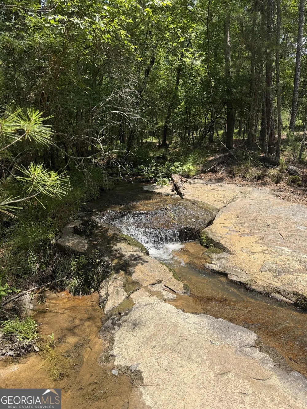 0 Pleasant Valley RD Thomaston, GA 30286