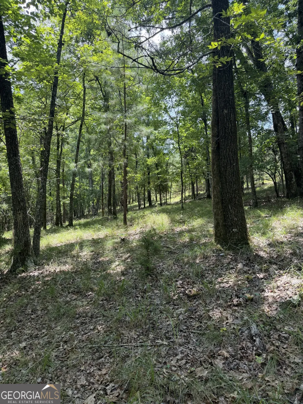 0 Pleasant Valley RD Thomaston, GA 30286
