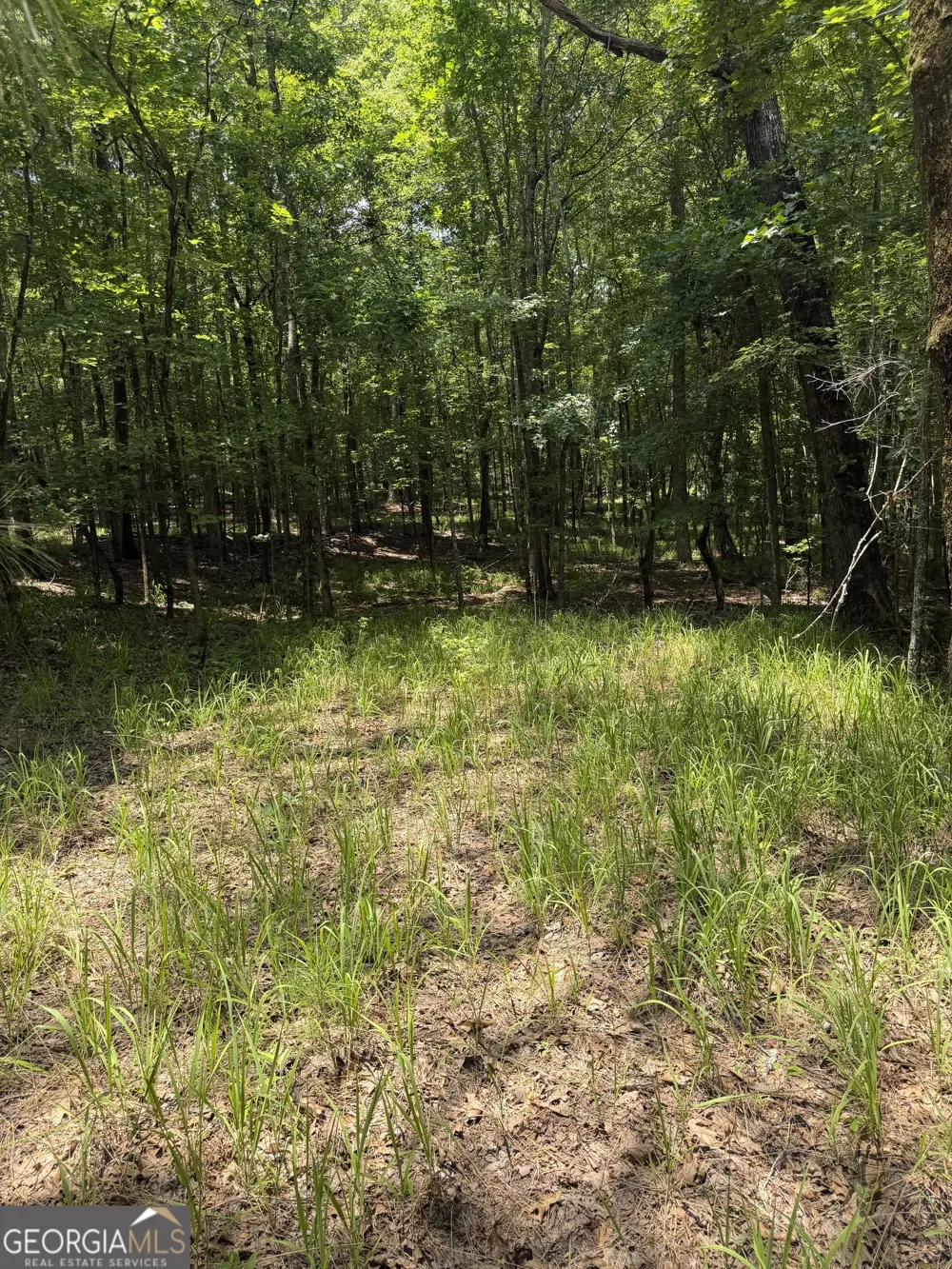 0 Pleasant Valley RD Thomaston, GA 30286
