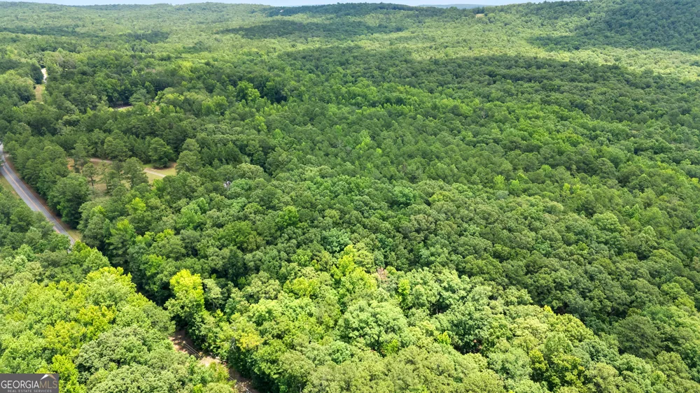 0 Pleasant Valley RD Thomaston, GA 30286