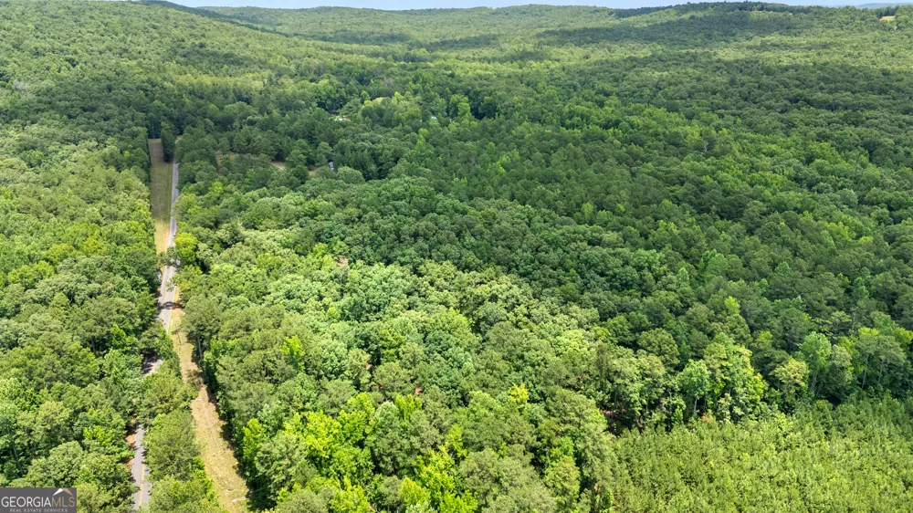 0 Pleasant Valley RD Thomaston, GA 30286