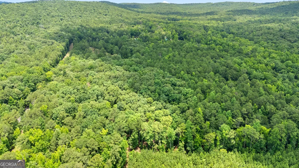 0 Pleasant Valley RD Thomaston, GA 30286