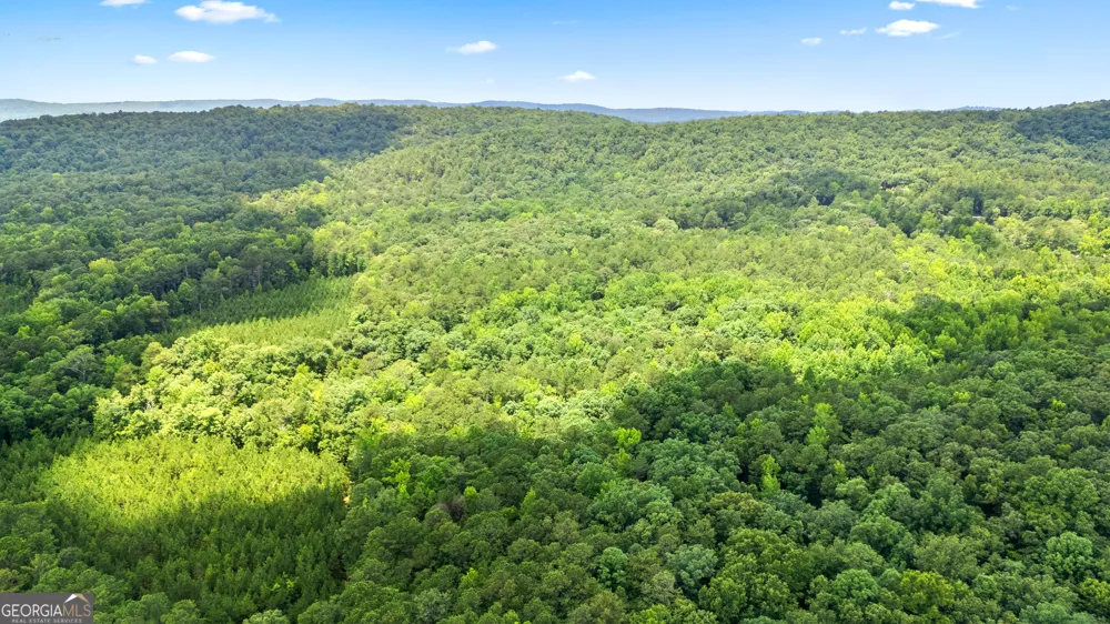 0 Pleasant Valley RD Thomaston, GA 30286
