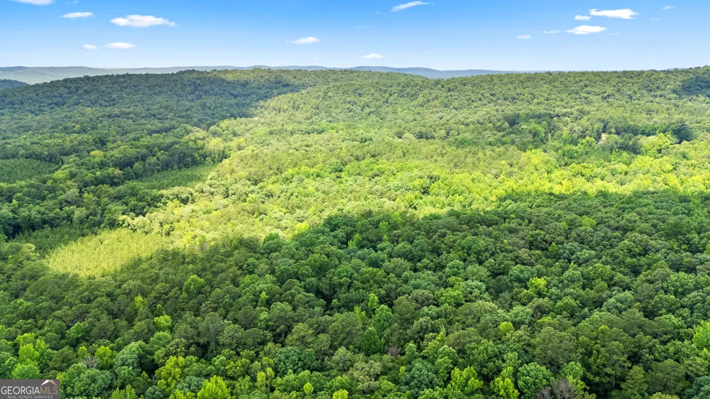 0 Pleasant Valley RD Thomaston, GA 30286