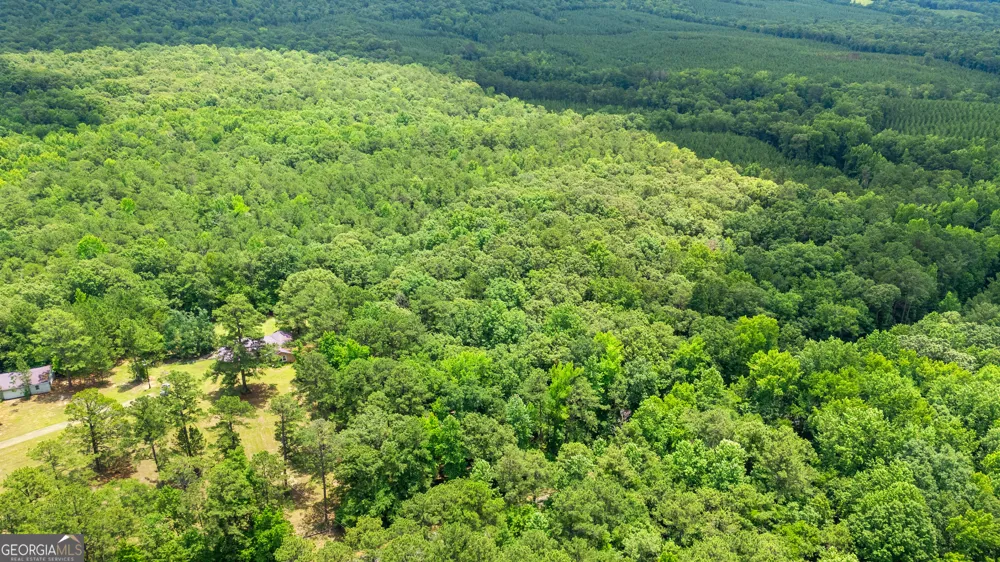 0 Pleasant Valley RD Thomaston, GA 30286