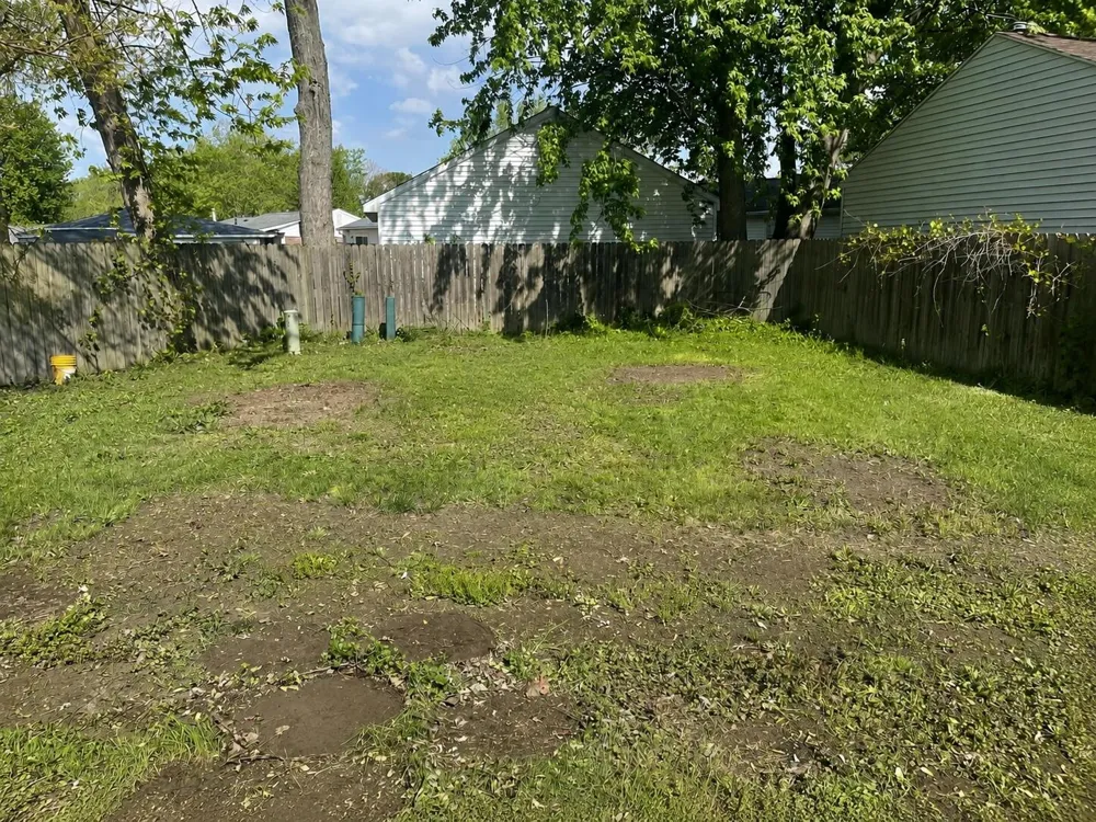 41900 Arthur Street Belleville, MI 48111