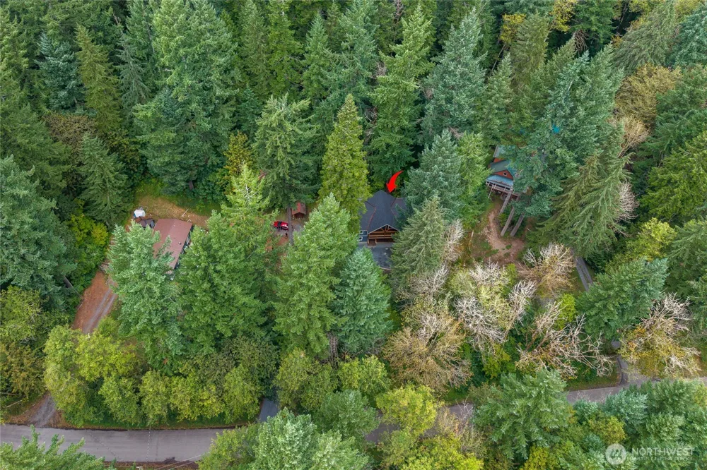 31715 Mount Tahoma Canyon Rd E Ashford, WA 98304