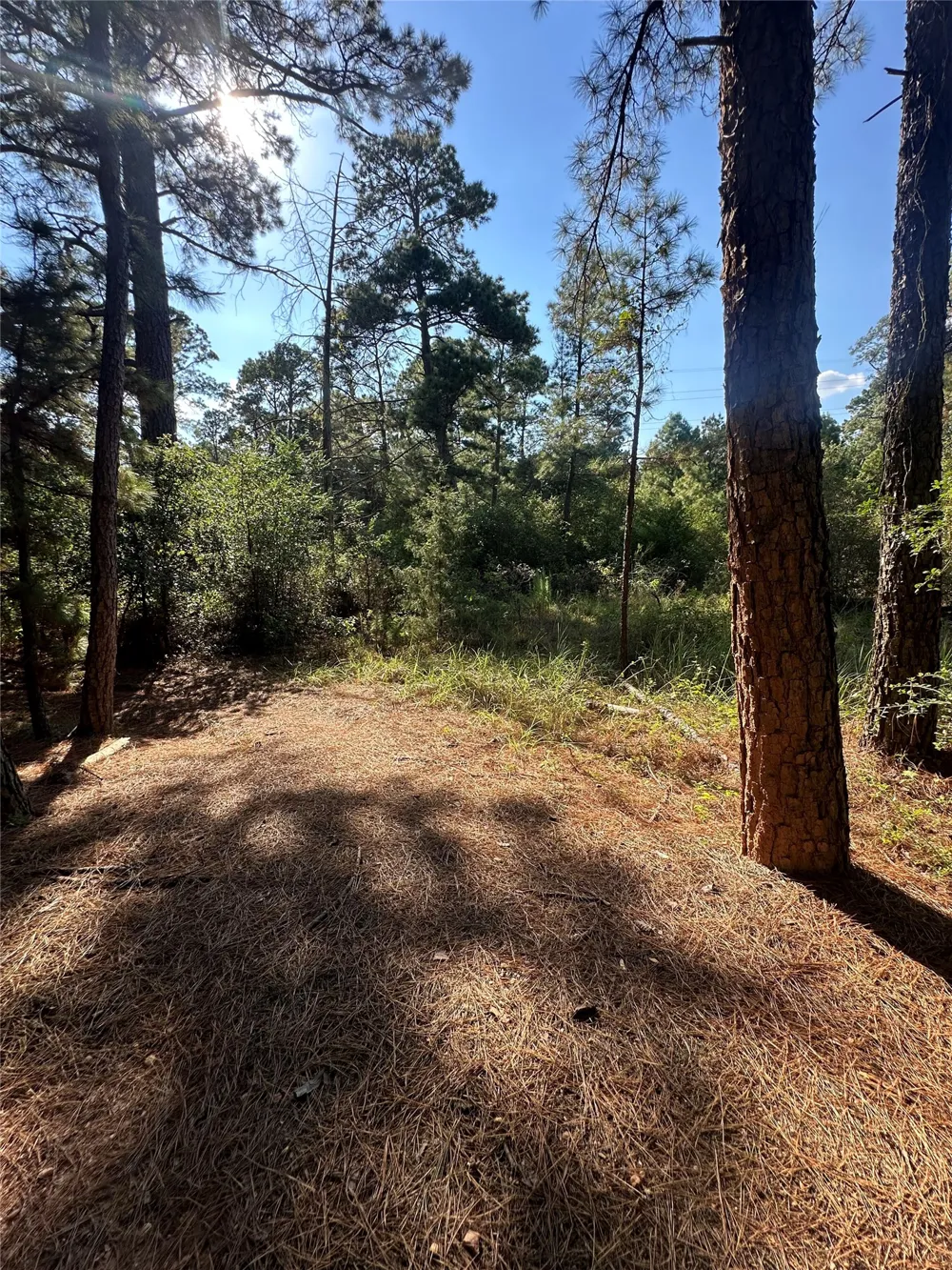 Pine Oak Drive Bastrop, TX 78602