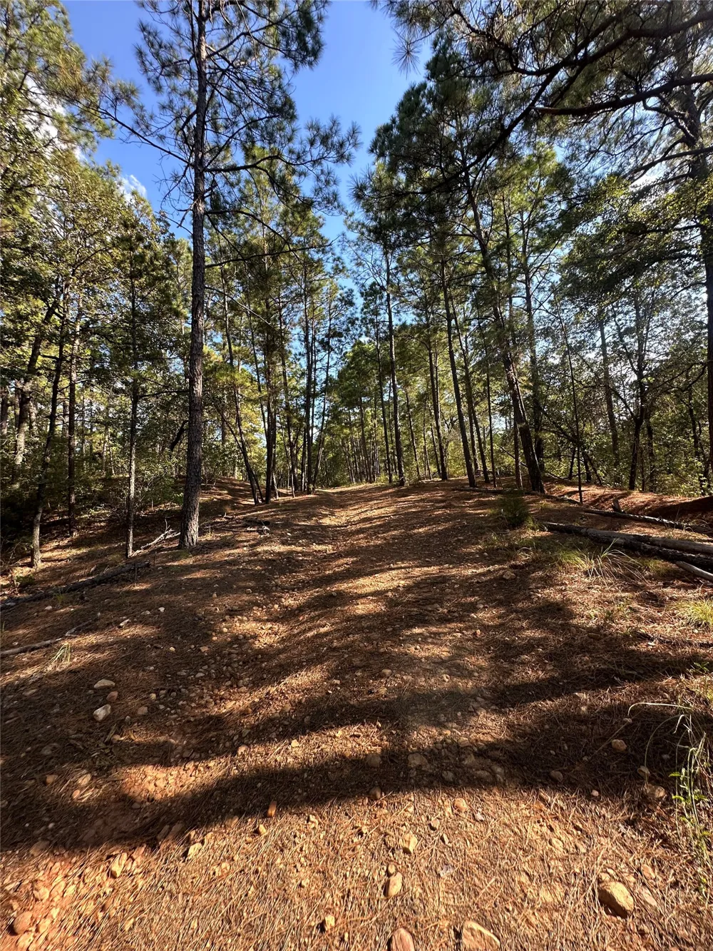 Pine Oak Drive Bastrop, TX 78602