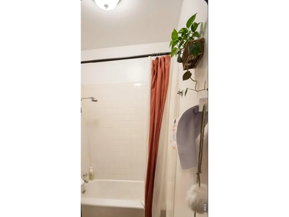 202 Peterson Street Fort Collins, CO 80524