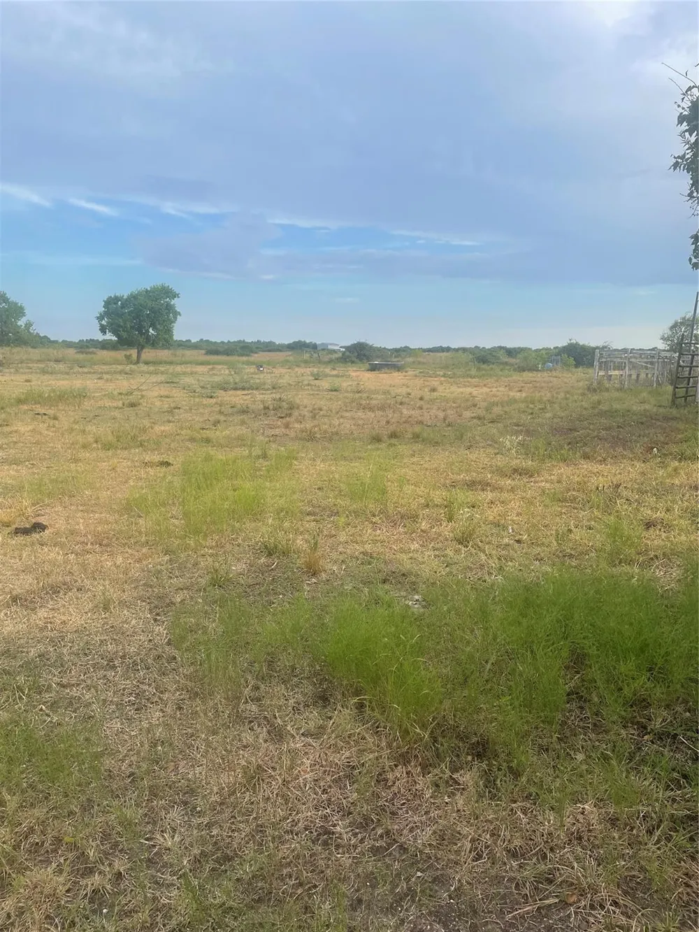 Fm 1862 S Blessing, TX 77419