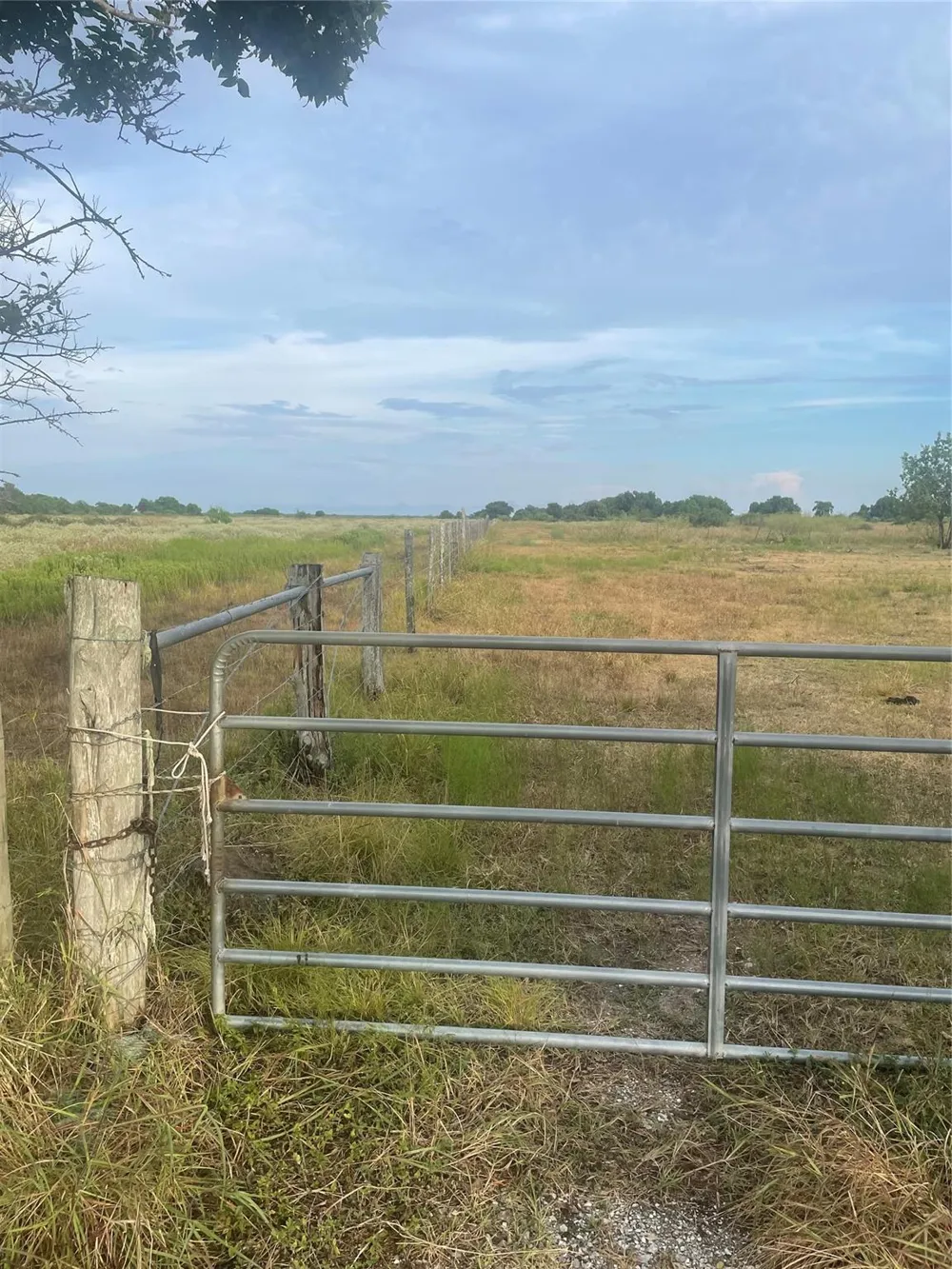 Fm 1862 S Blessing, TX 77419