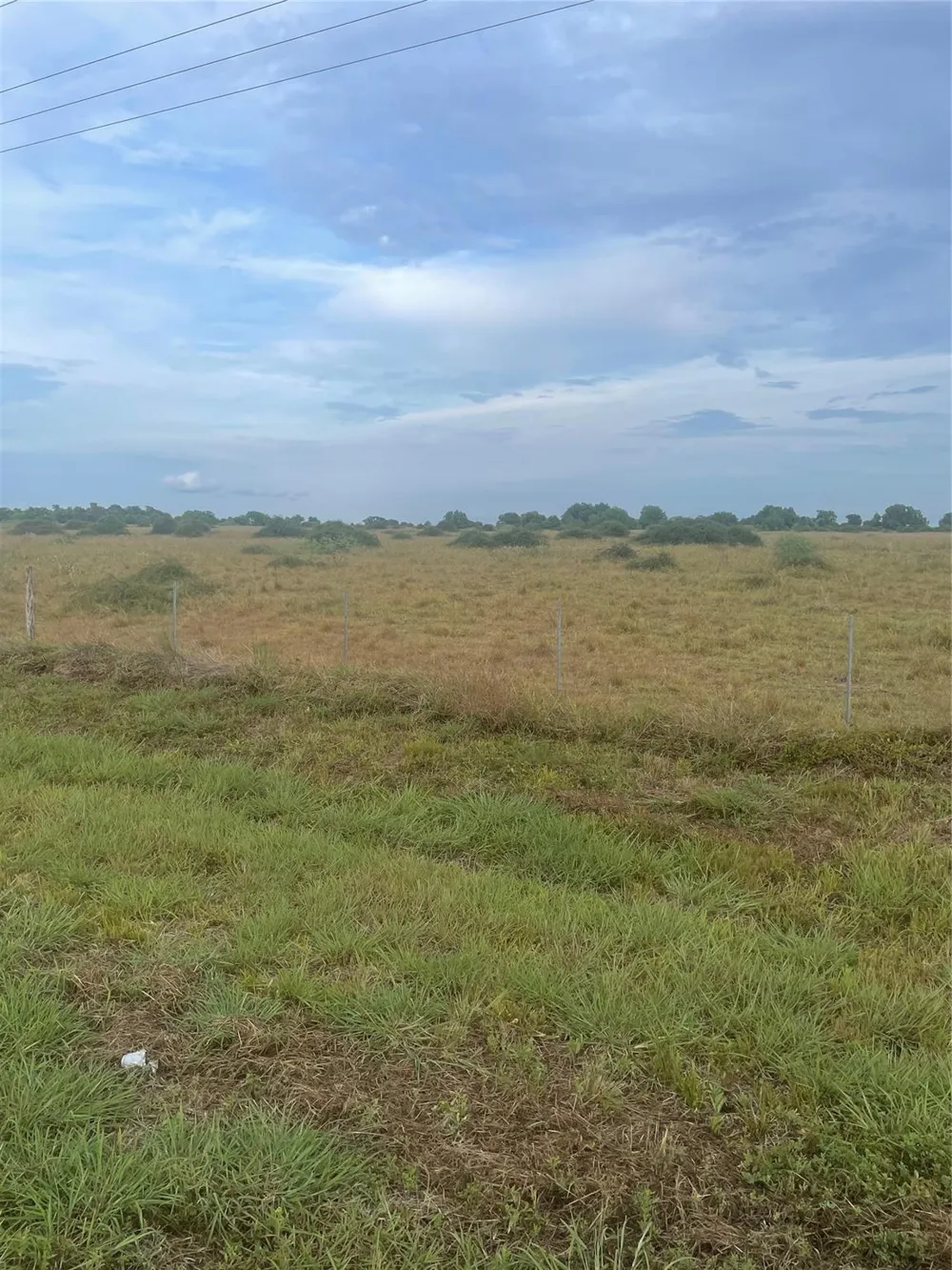 Fm 1862 S Blessing, TX 77419