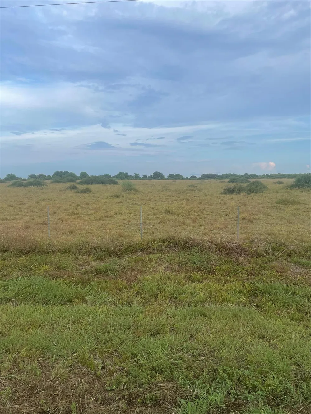Fm 1862 S Blessing, TX 77419