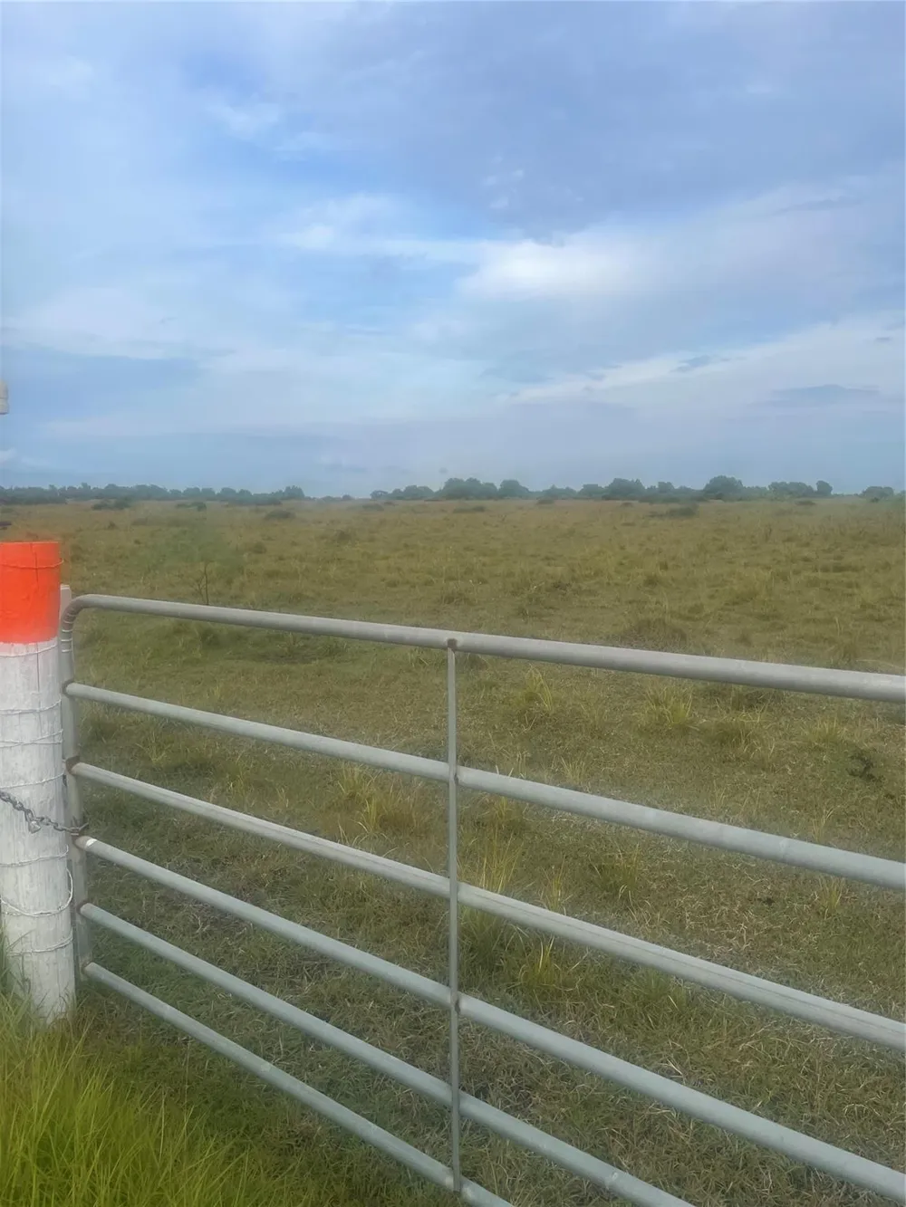 Fm 1862 S Blessing, TX 77419