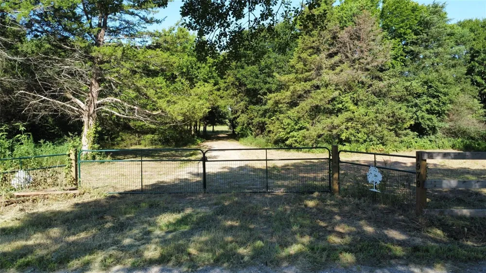 1979 CR  1135 Ravenna, TX 75476