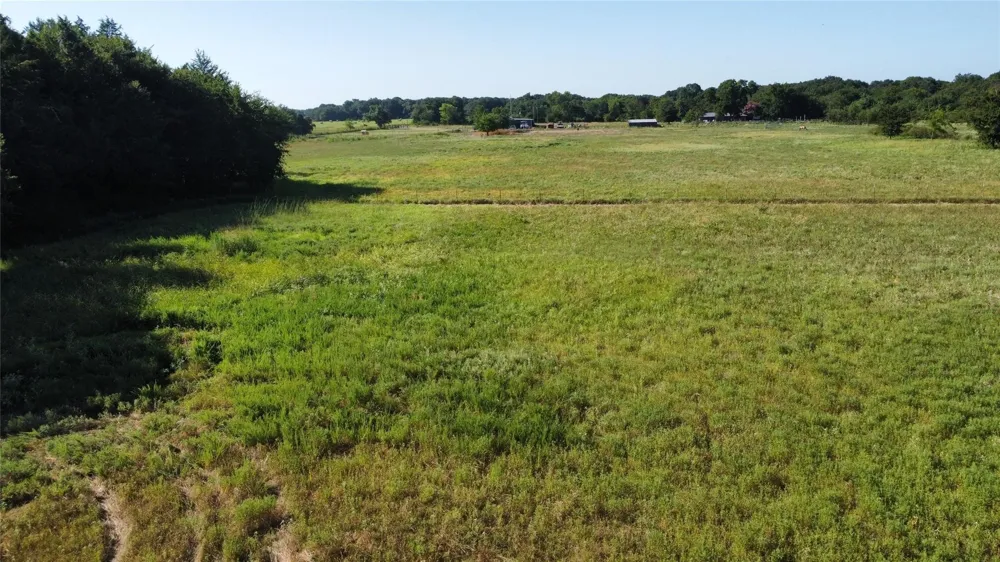 1979 CR  1135 Ravenna, TX 75476