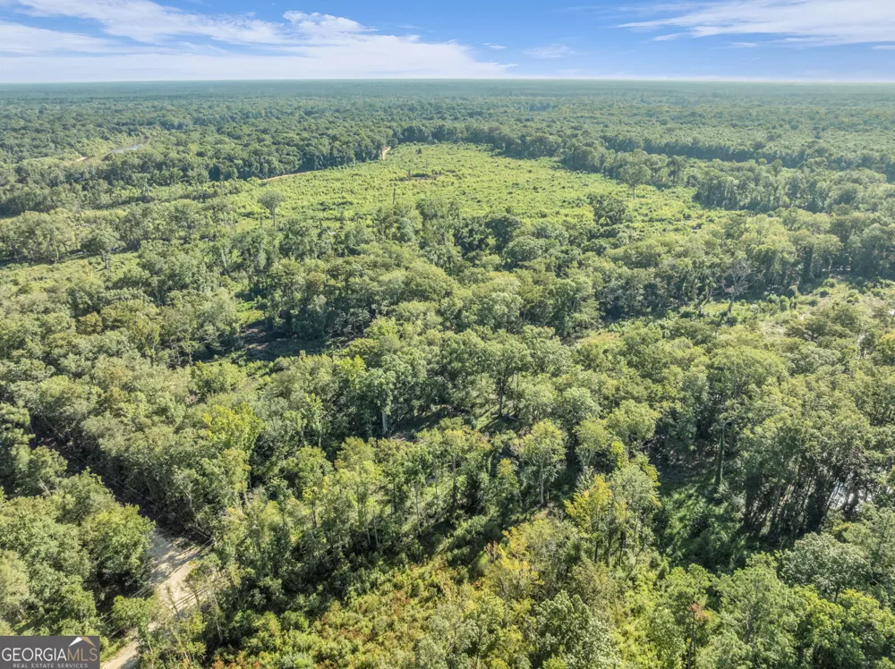 0 Brook Road Jesup, GA 31545