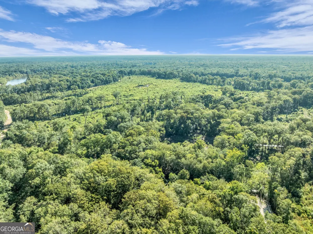 0 Brook Road Jesup, GA 31545
