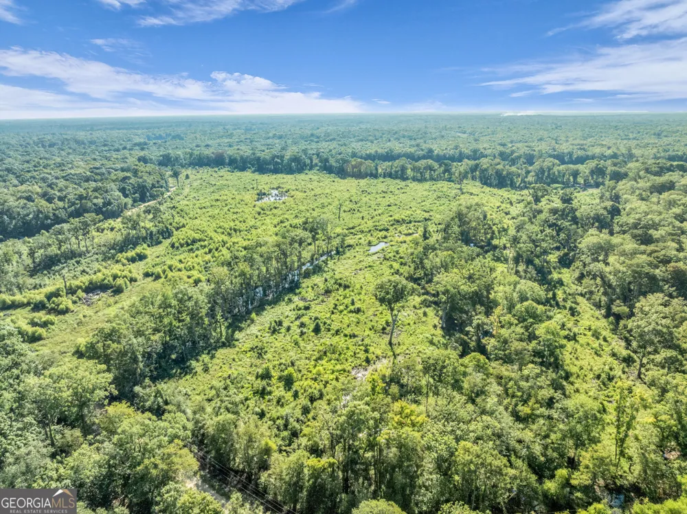 0 Brook Road Jesup, GA 31545