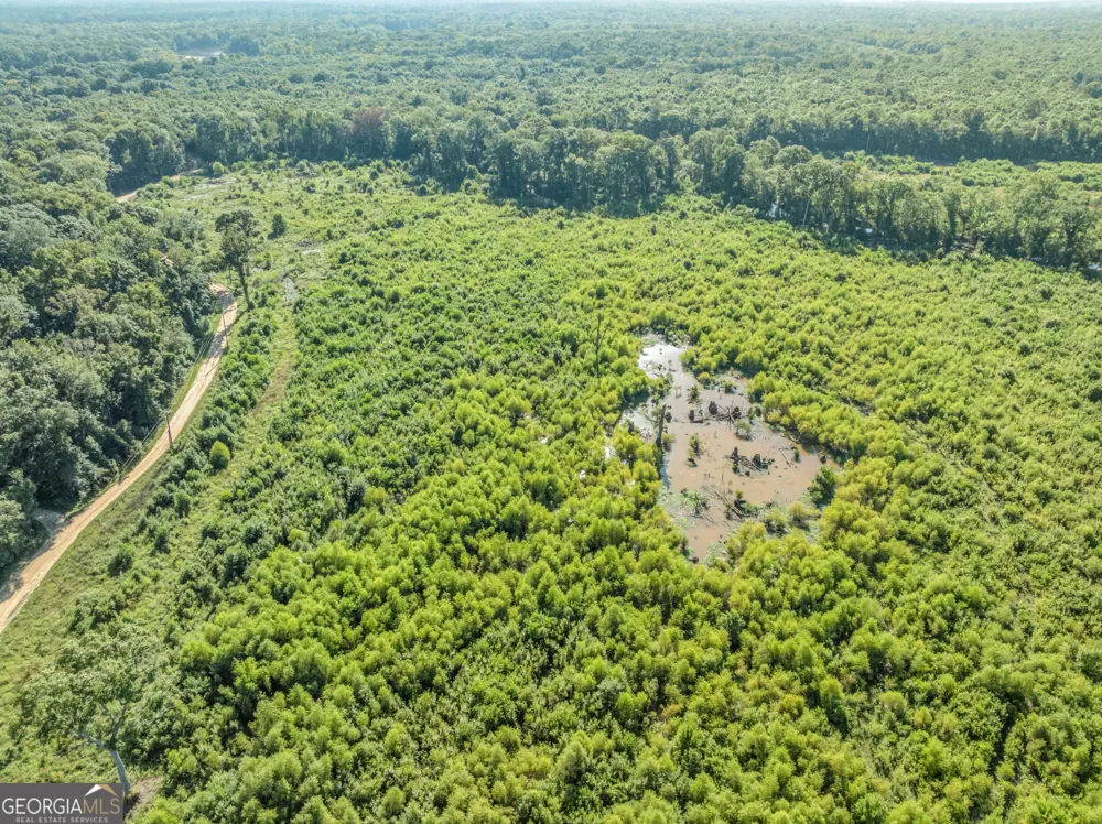 0 Brook Road Jesup, GA 31545