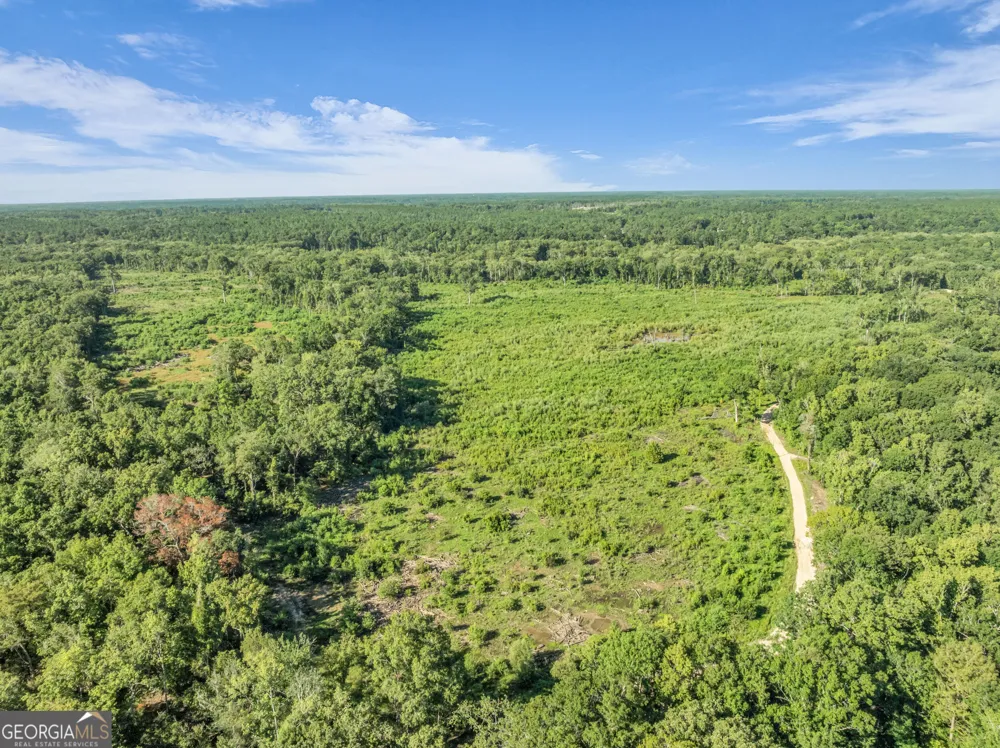 0 Brook Road Jesup, GA 31545