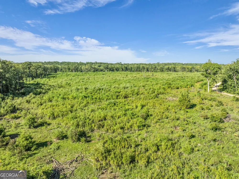 0 Brook Road Jesup, GA 31545