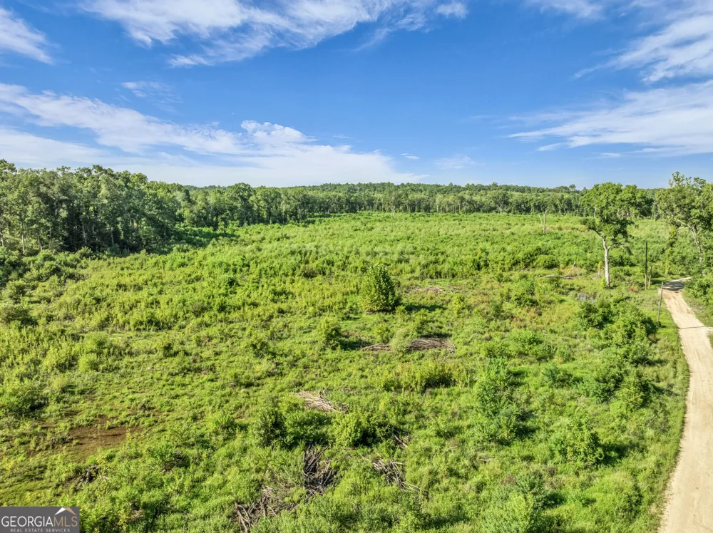 0 Brook Road Jesup, GA 31545