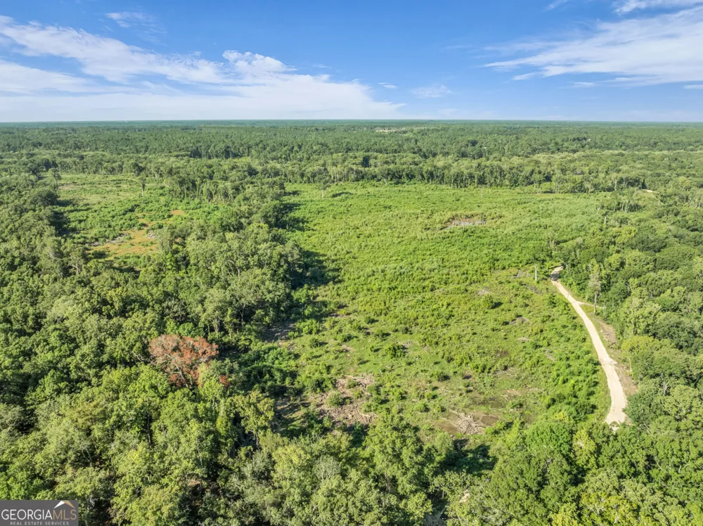 0 Brook Road Jesup, GA 31545