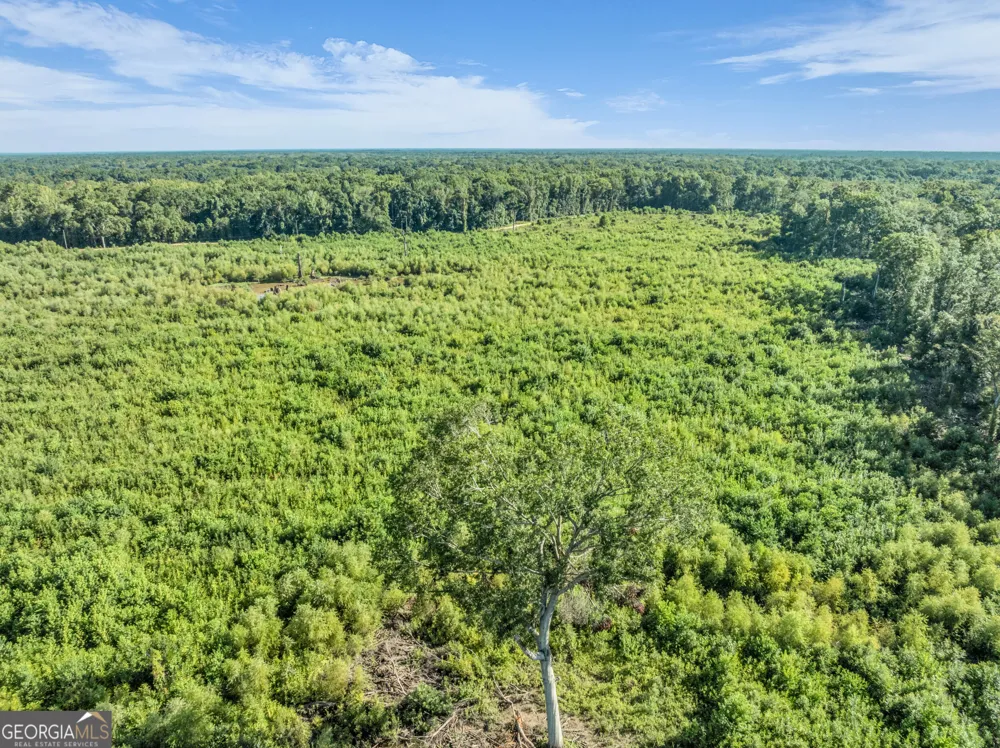 0 Brook Road Jesup, GA 31545