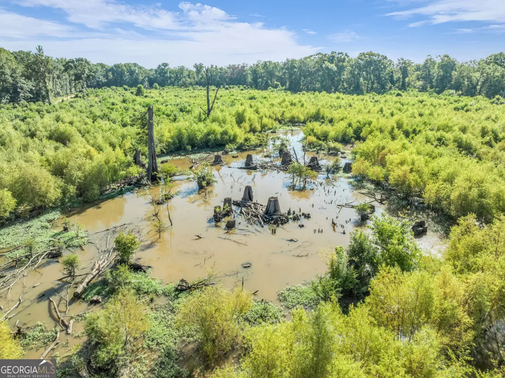 0 Brook Road Jesup, GA 31545