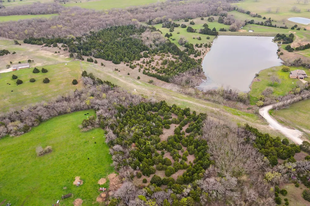 25 County Road 672 Blue Ridge, TX 75424