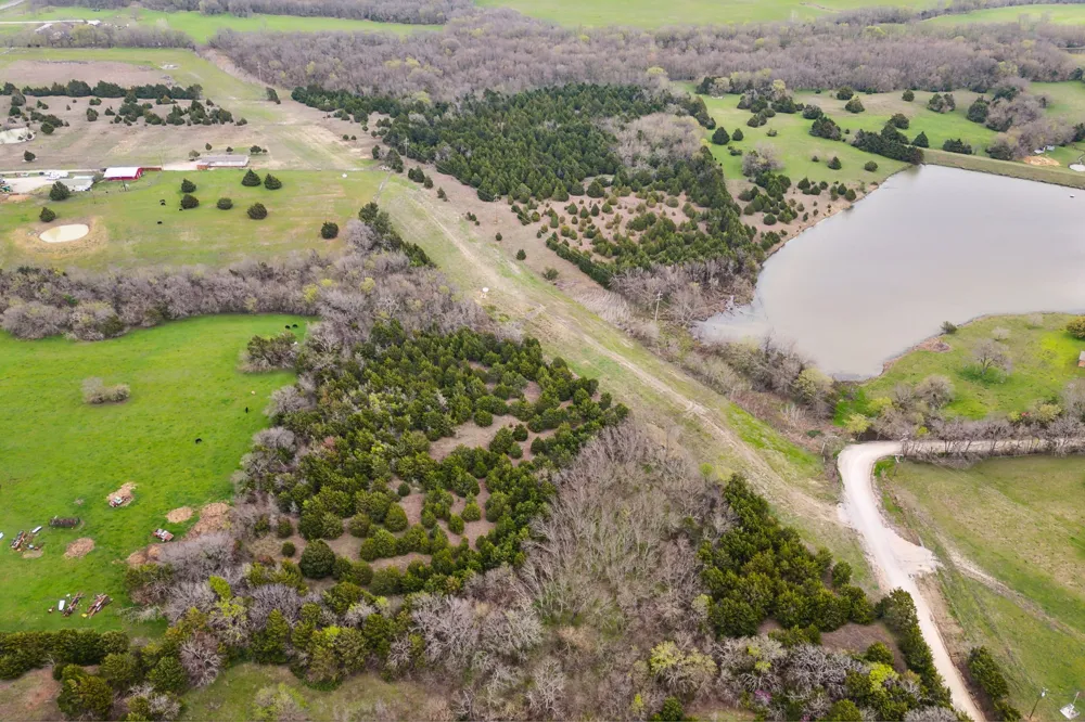 25 County Road 672 Blue Ridge, TX 75424