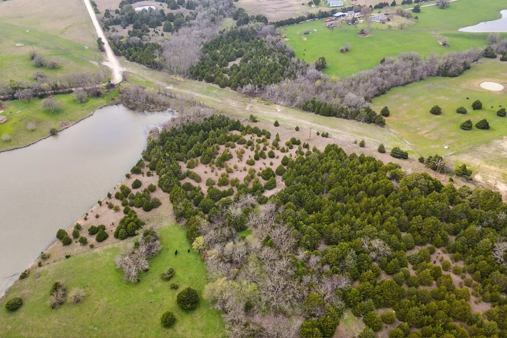 25 County Road 672 Blue Ridge, TX 75424