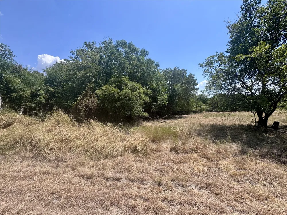 32028 Dove Trail Whitney, TX 76692