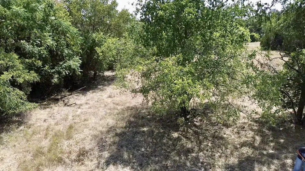 32028 Dove Trail Whitney, TX 76692