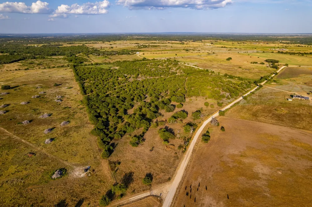 FM 914 Carlton, TX 76436