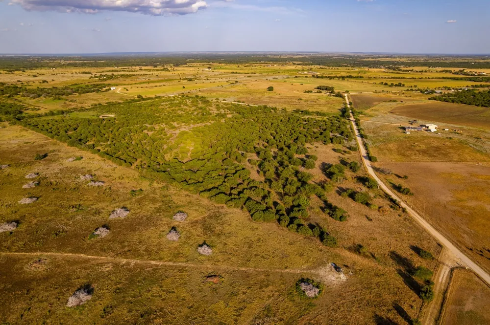FM 914 Carlton, TX 76436