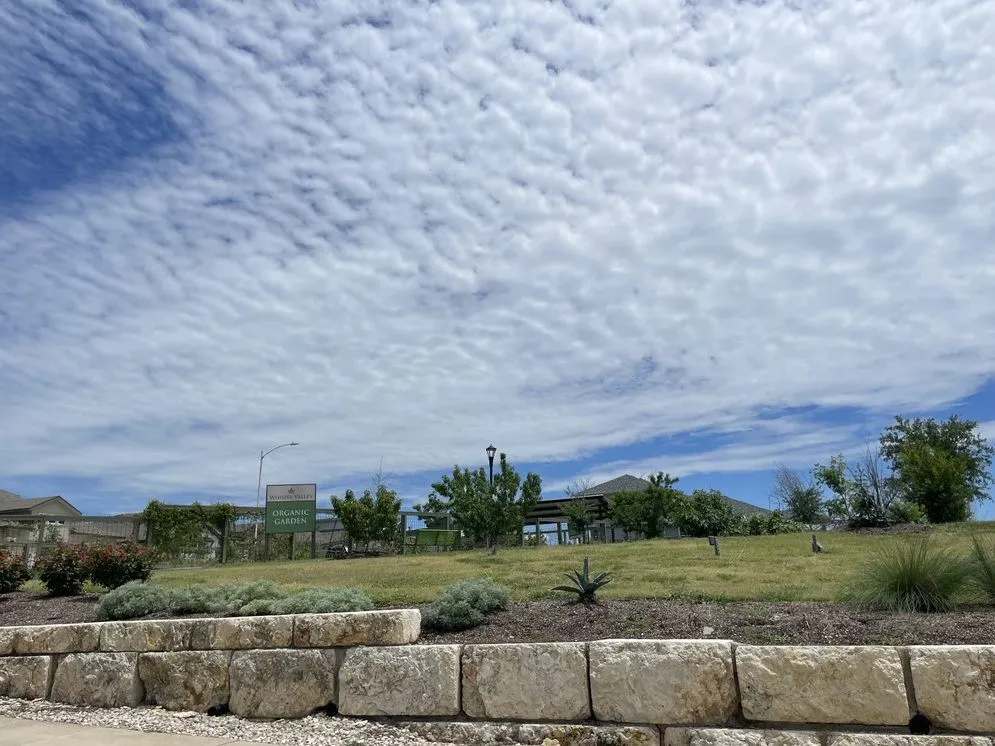 9721 Morning Iris Drive Manor, TX 78653