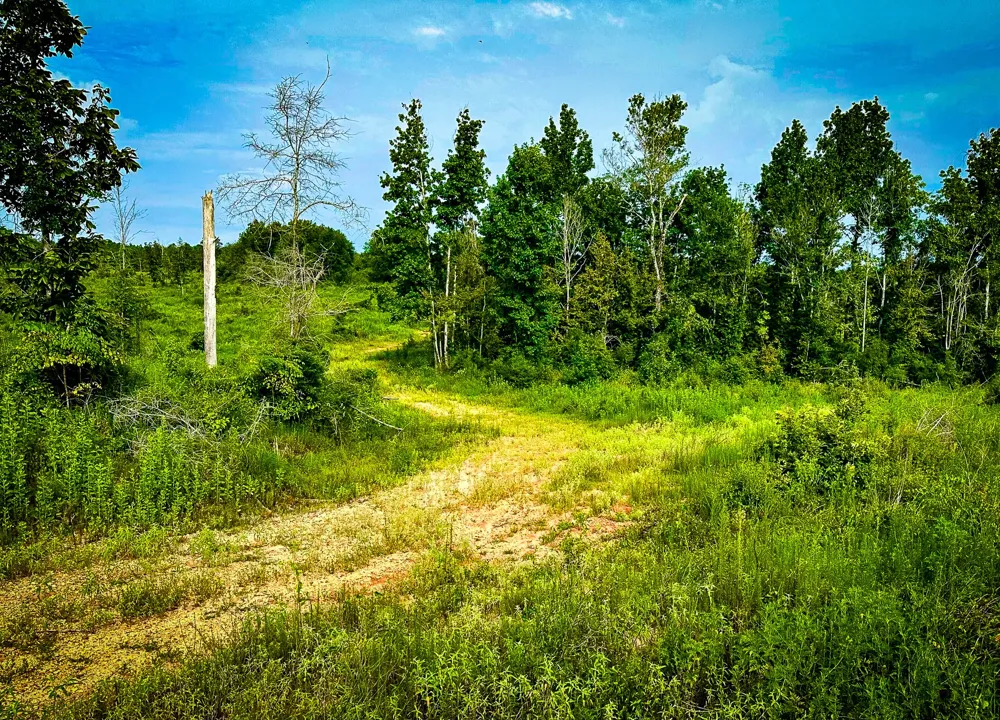 Segno Fire Lane Livingston, TX 77371