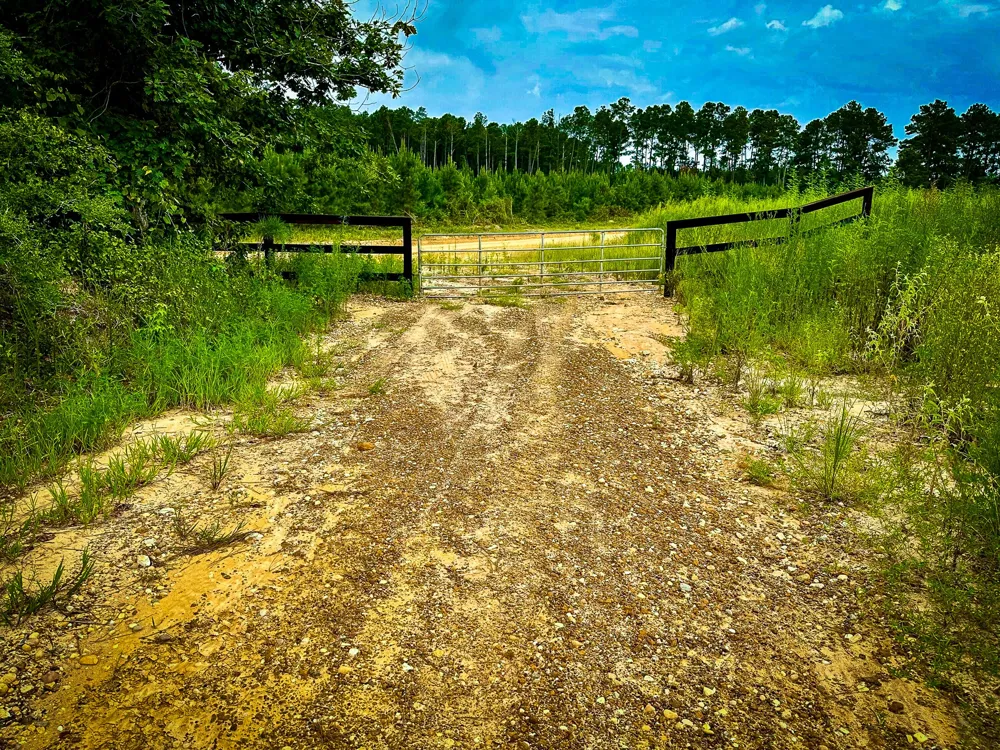 Segno Fire Lane Livingston, TX 77371